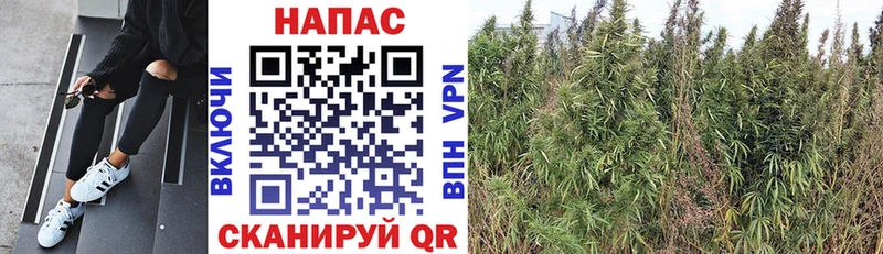 Конопля SATIVA & INDICA Новоульяновск